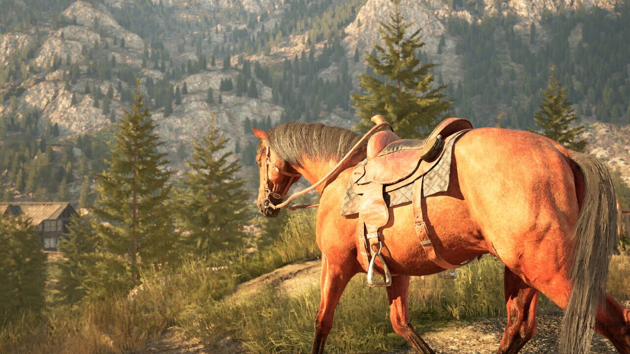 Medieval Horse Simulator
