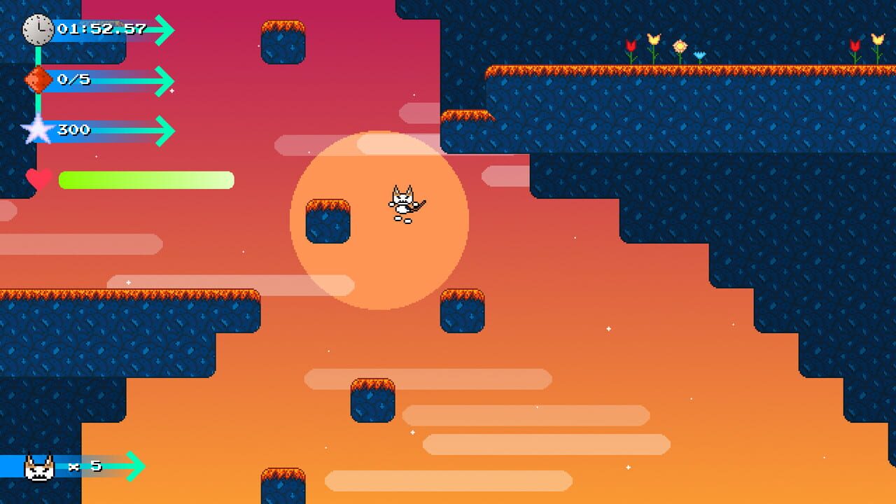 Catto Boi Collection