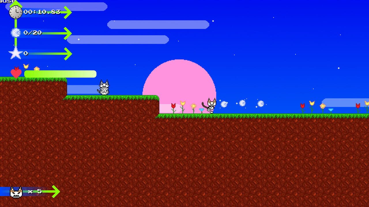 Catto Boi Collection