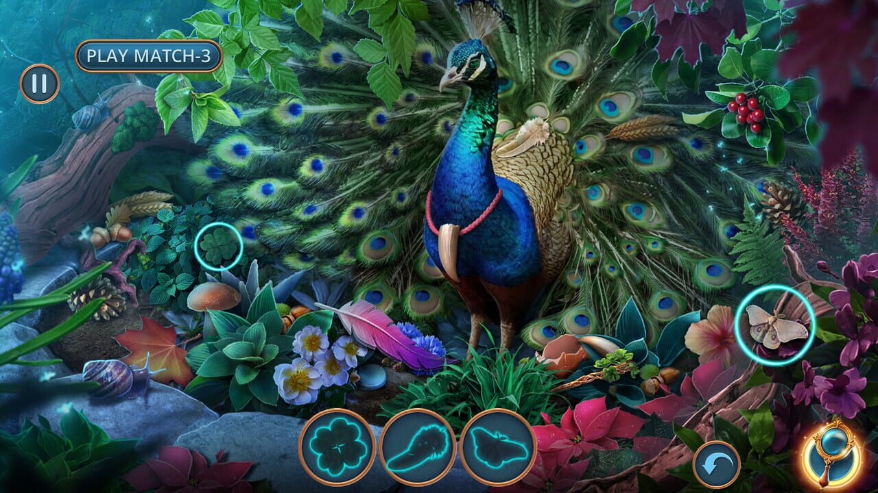 Enchanted Stories: Mystic Woods – Collector’s Edition