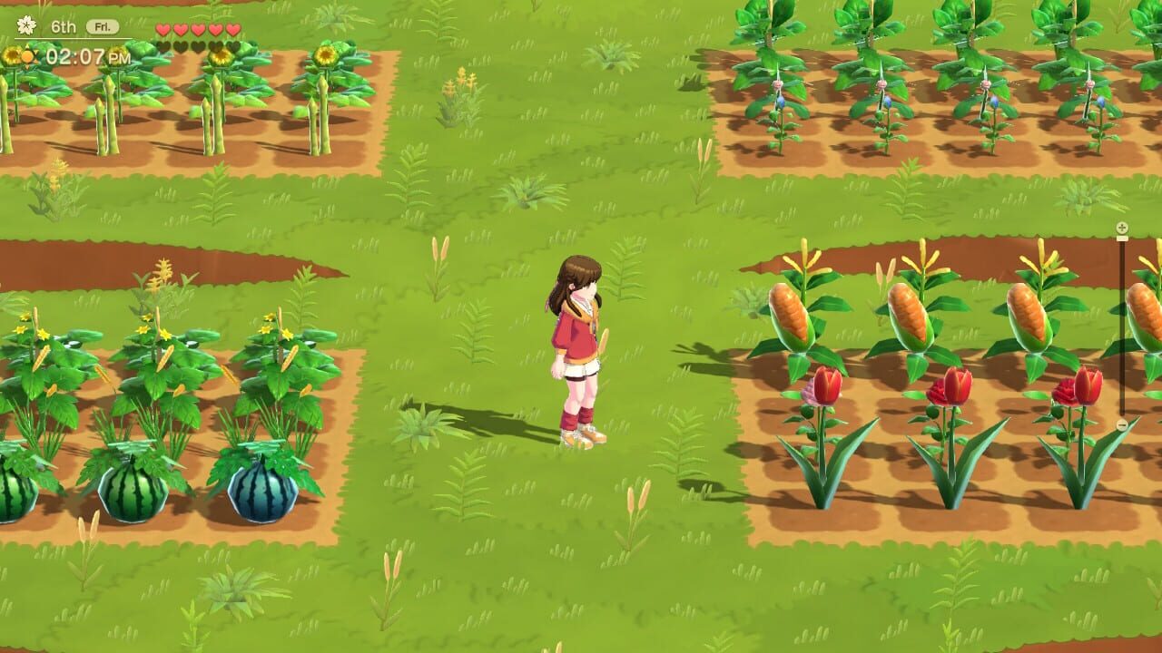 Harvest Moon: Home Sweet Home Special Edition