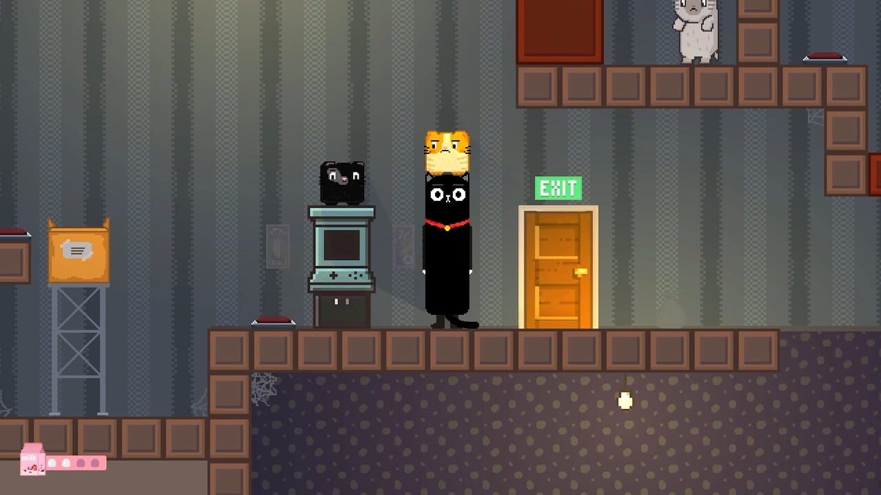 Super Long Cat