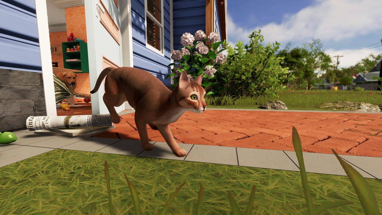 House Flipper 2: Pets