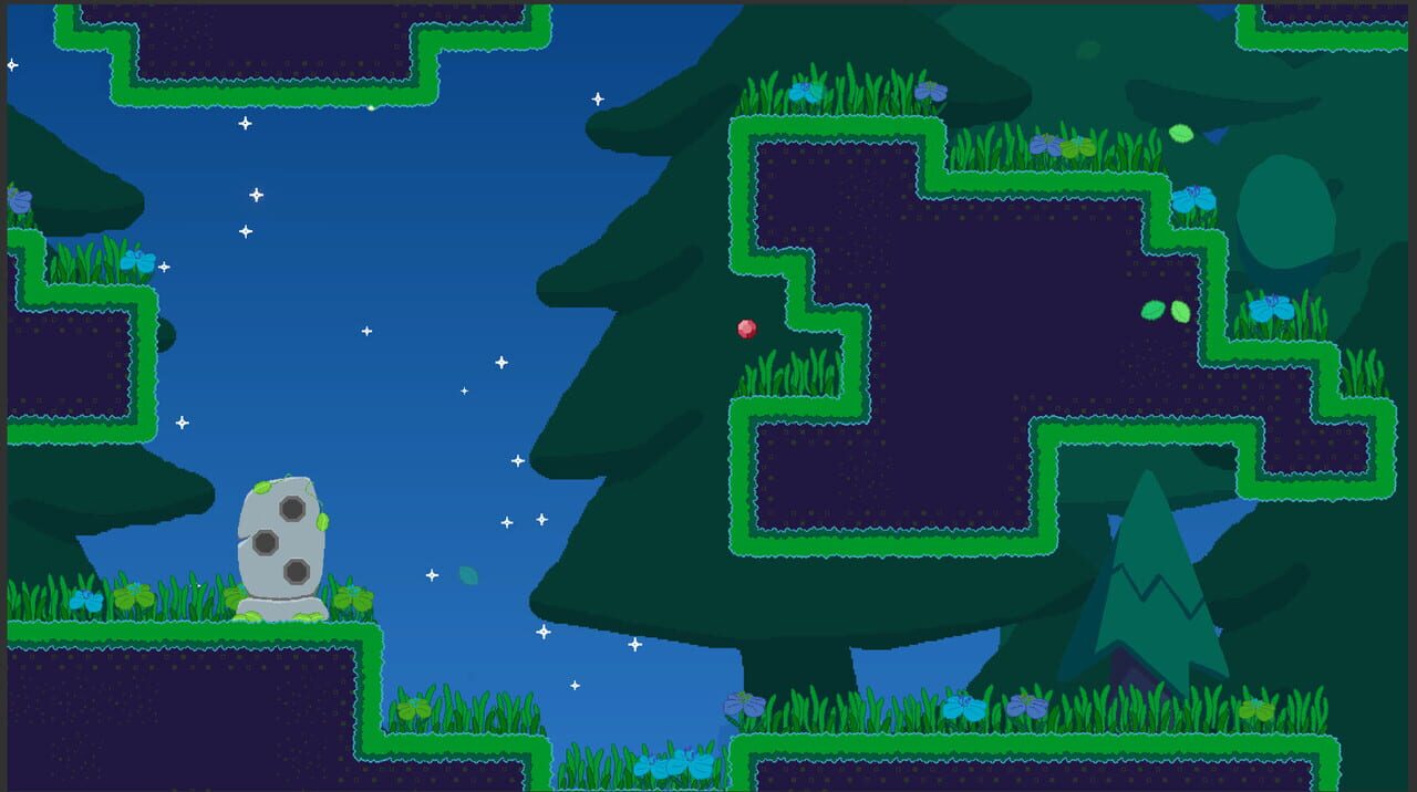 Jenny’s Adventures