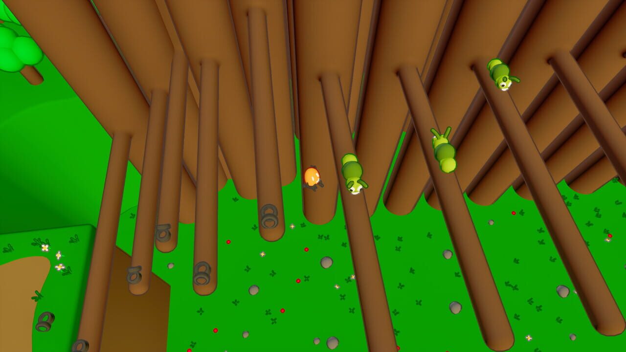 Seed Adventure