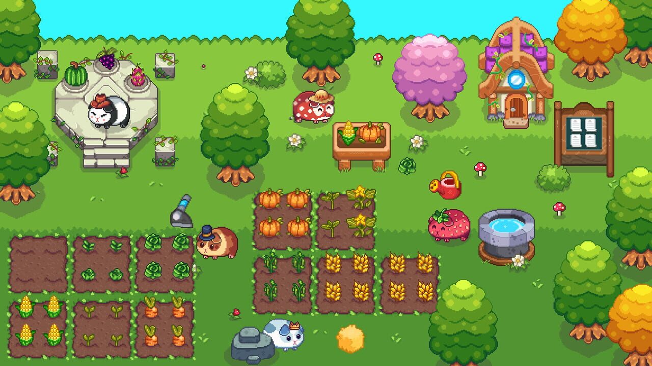 Cozy Garden
