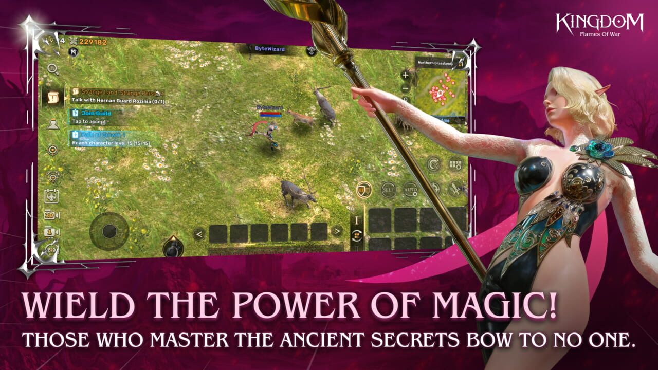 Kingdom: Flames of War