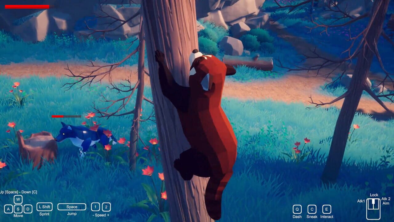 Red Panda: The Quiet Path