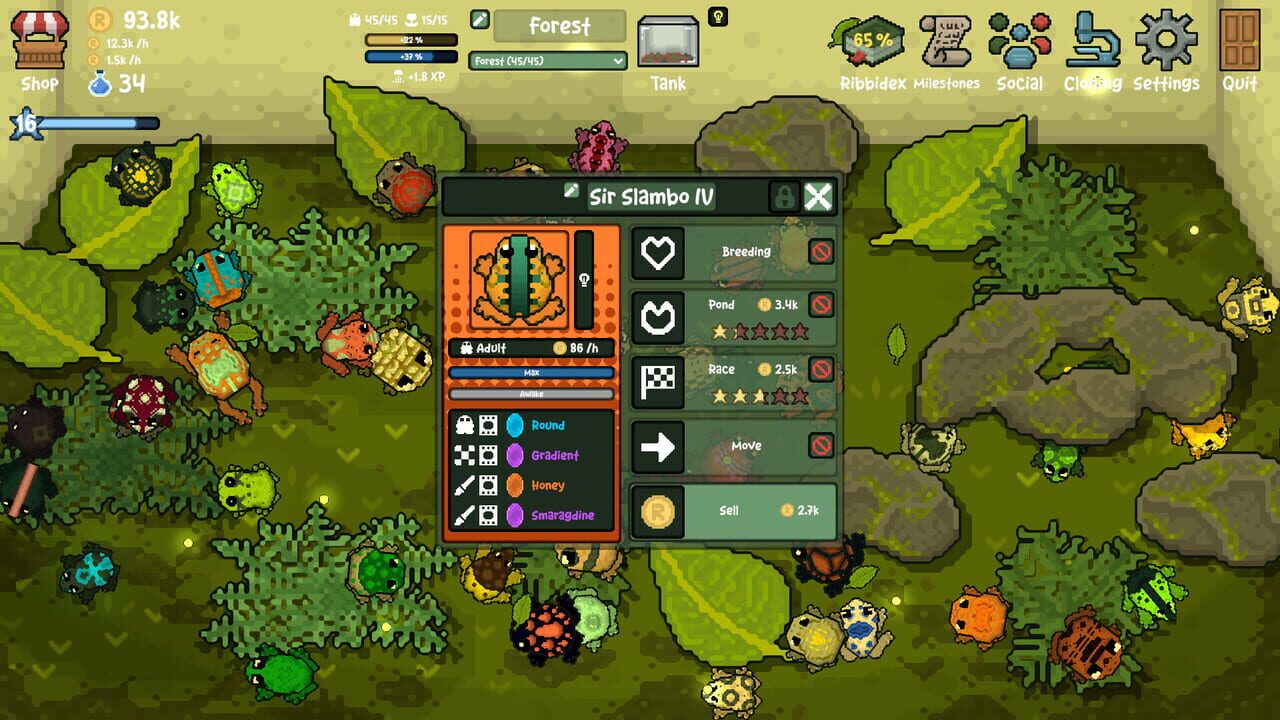 Ribbit Ranch