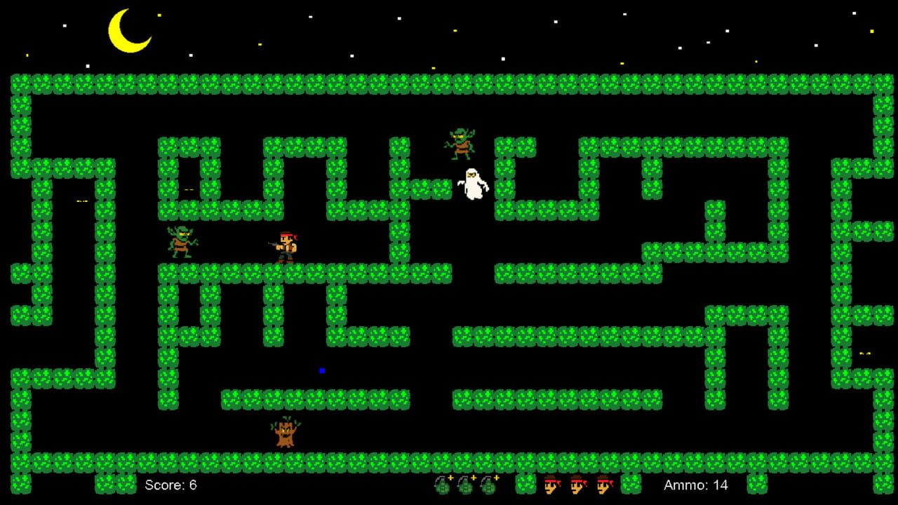 Nocturne Maze: Shadows in the Hedge