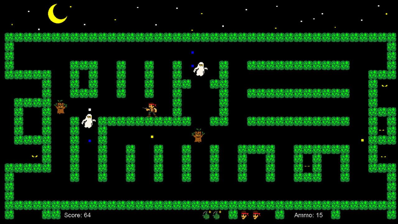 Nocturne Maze: Shadows in the Hedge