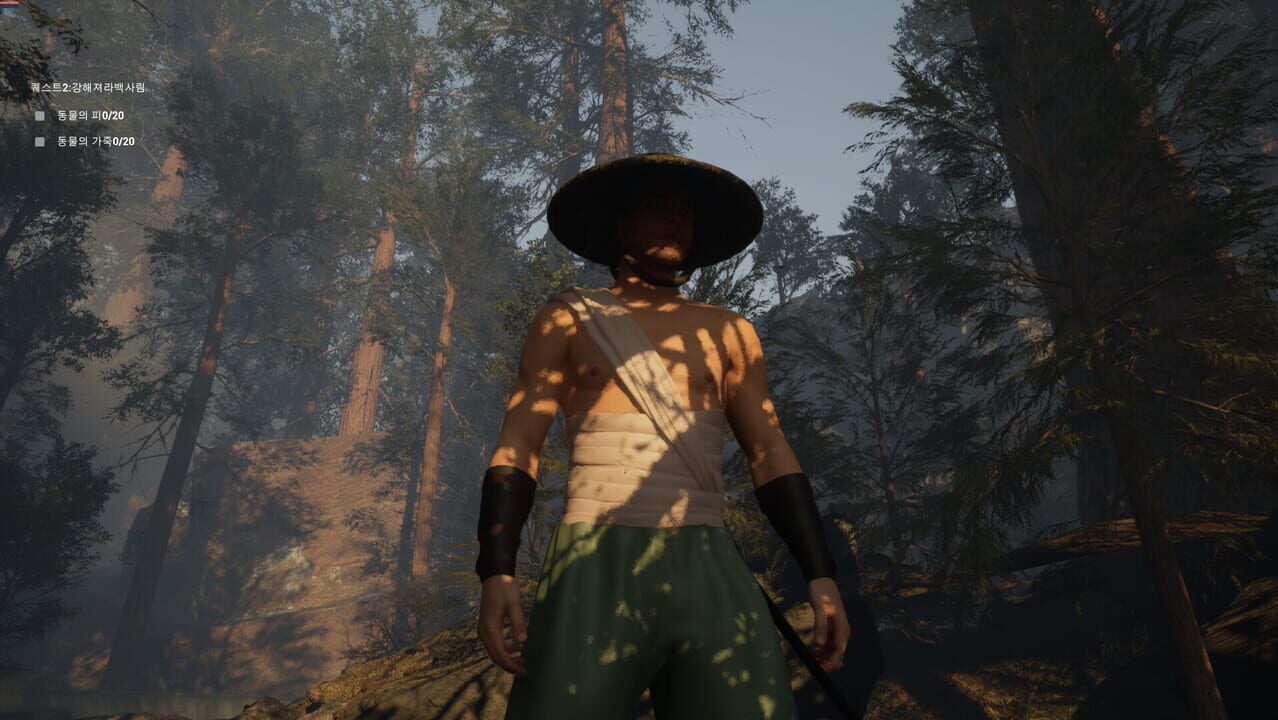 Gaya: The Mystery