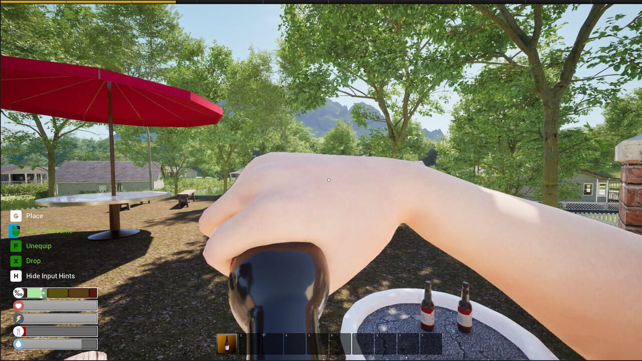 Drunkard Simulator