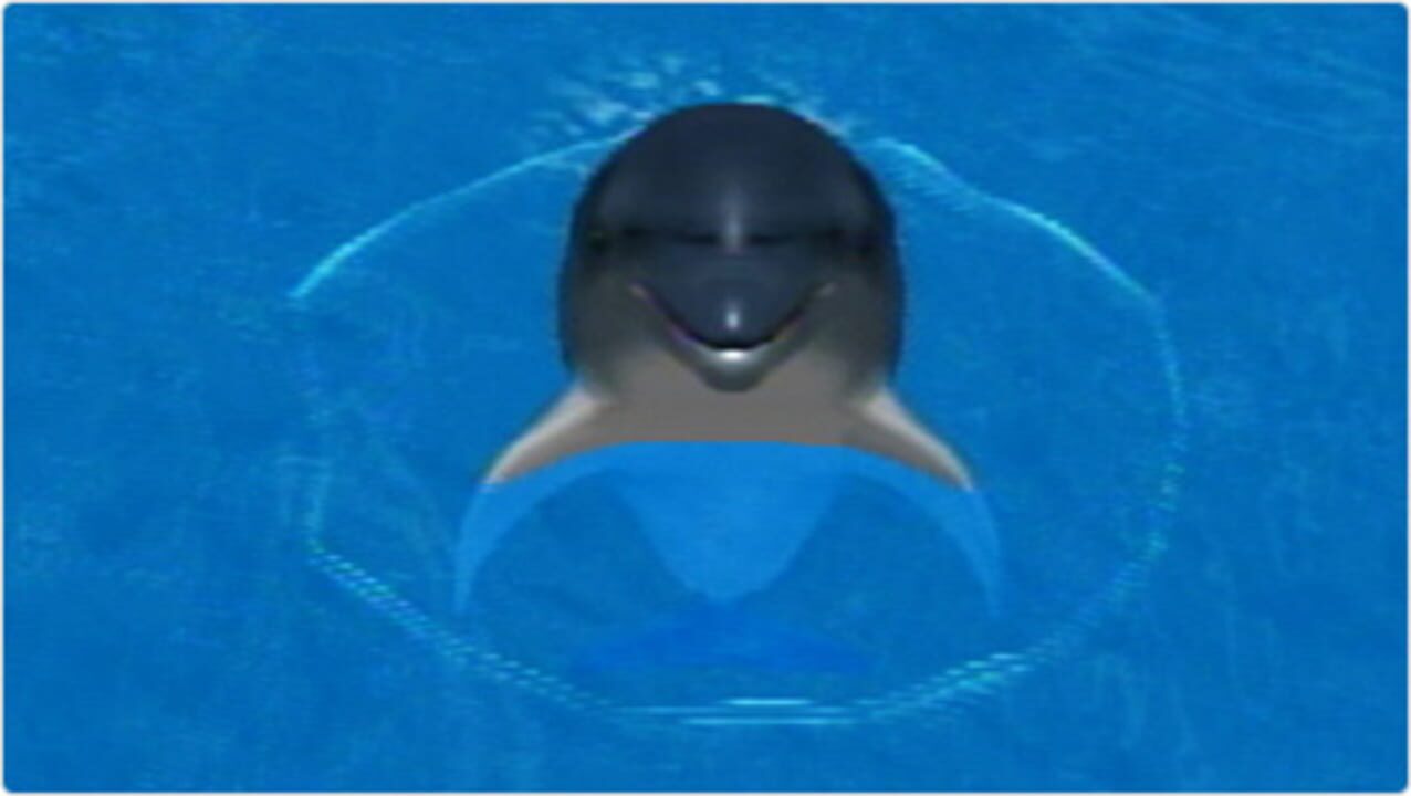 My Dolphin