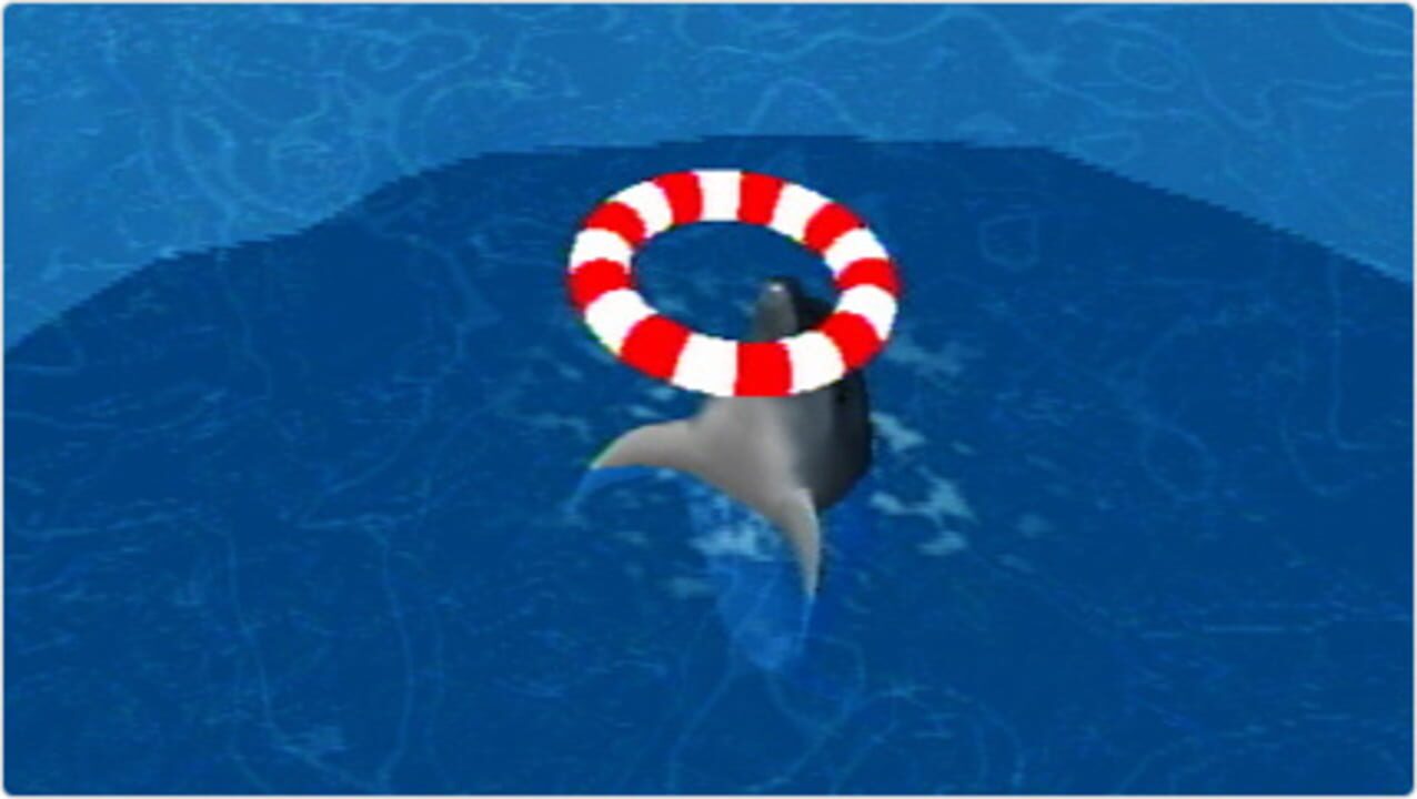 My Dolphin