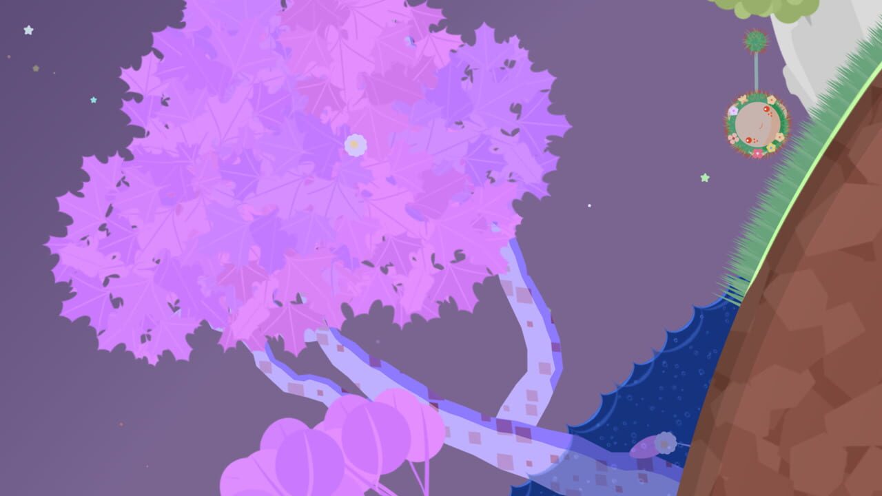 Shu’s Garden