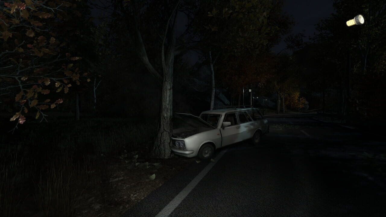 The Secret of Pineview Forest