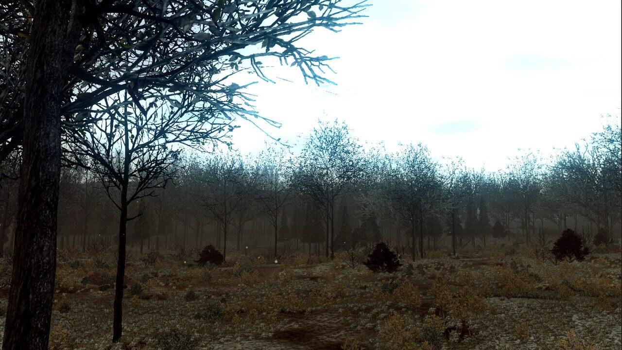 Maximum Archery the Game