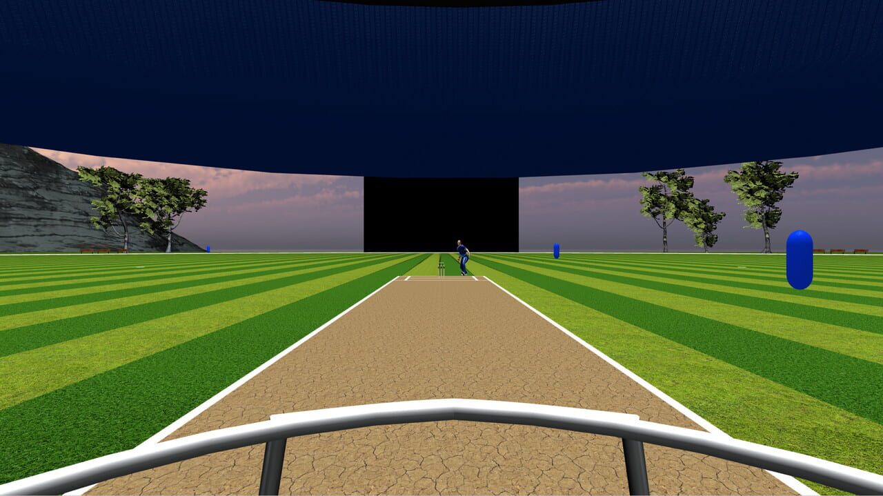 Just Bat: VR Cricket