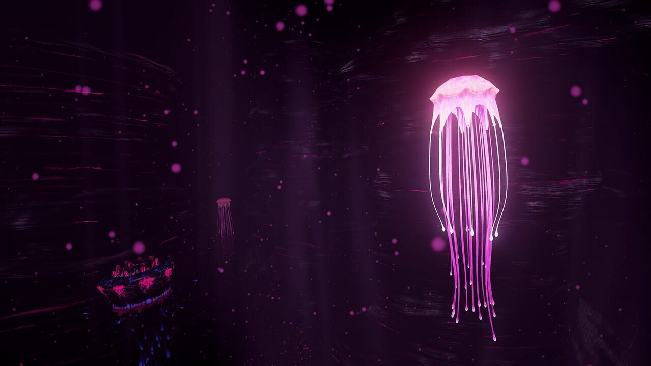 Kygo ‘Carry Me’ VR Experience