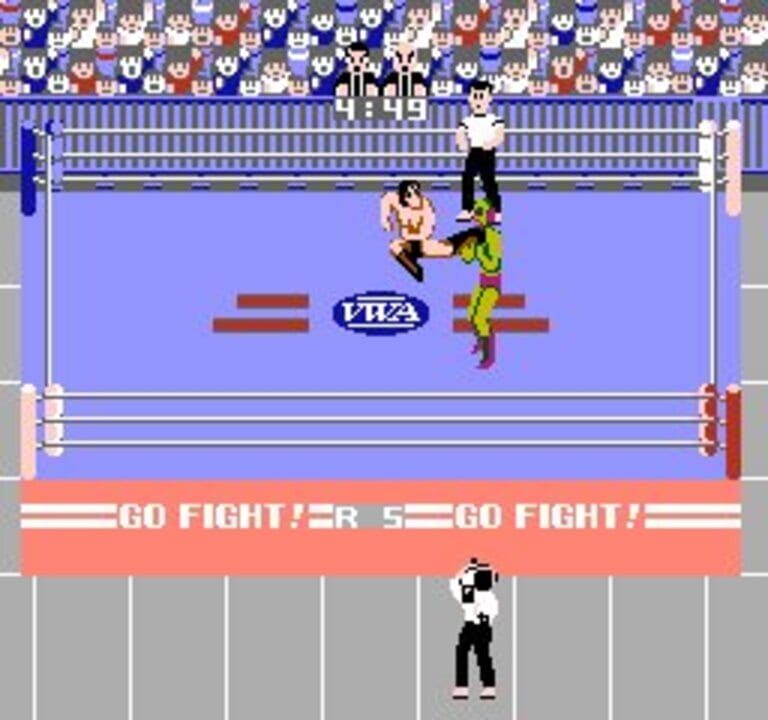 Pro Wrestling