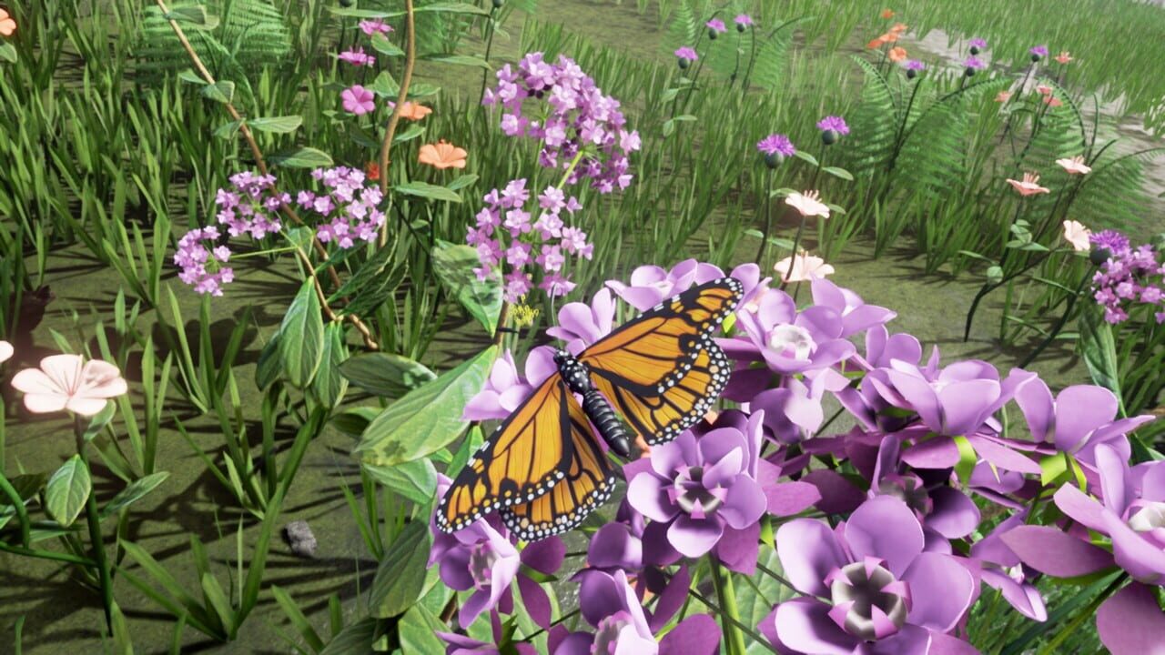 Drunk on Nectar