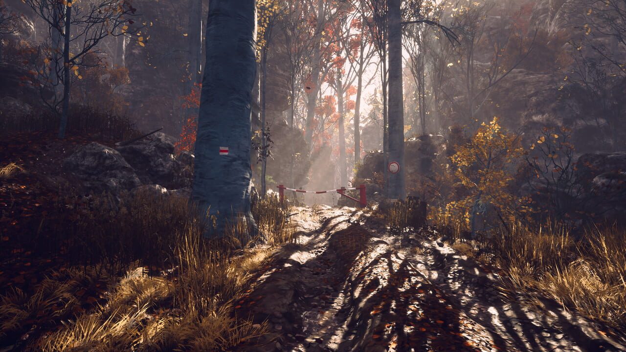 Someday You’ll Return