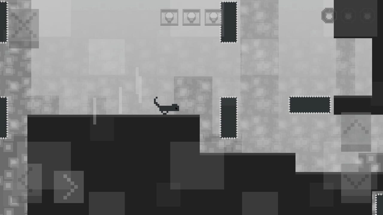 Planet Squirrel