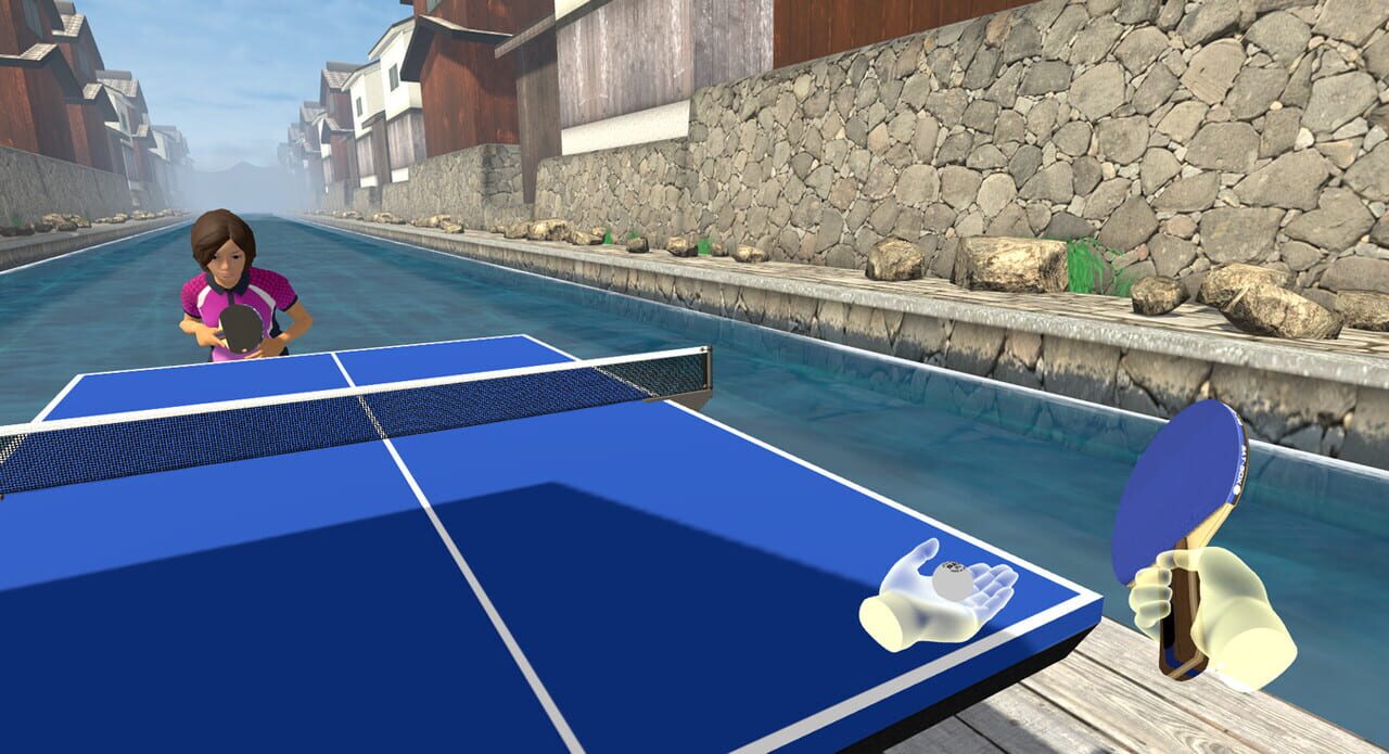 VR Ping Pong Paradise