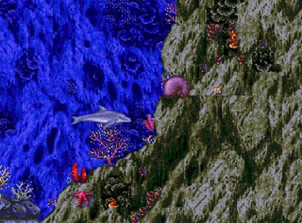 Ecco the Dolphin