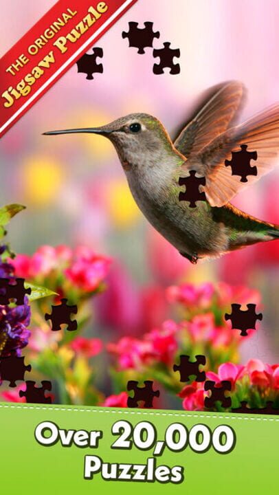 Jigsaw Puzzle Pro