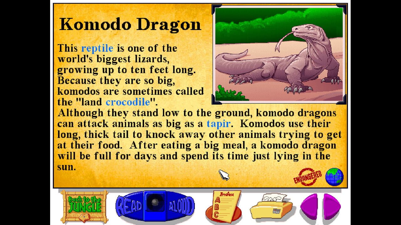 Let’s Explore the Jungle