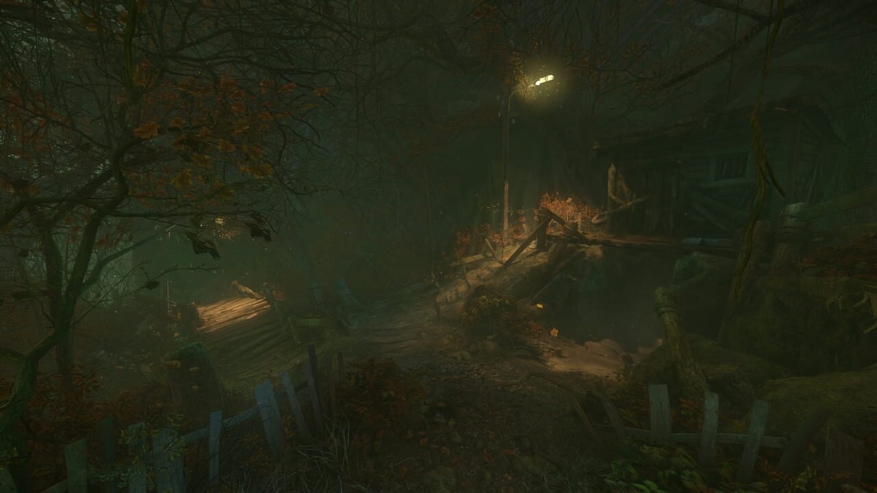 The Cursed Forest