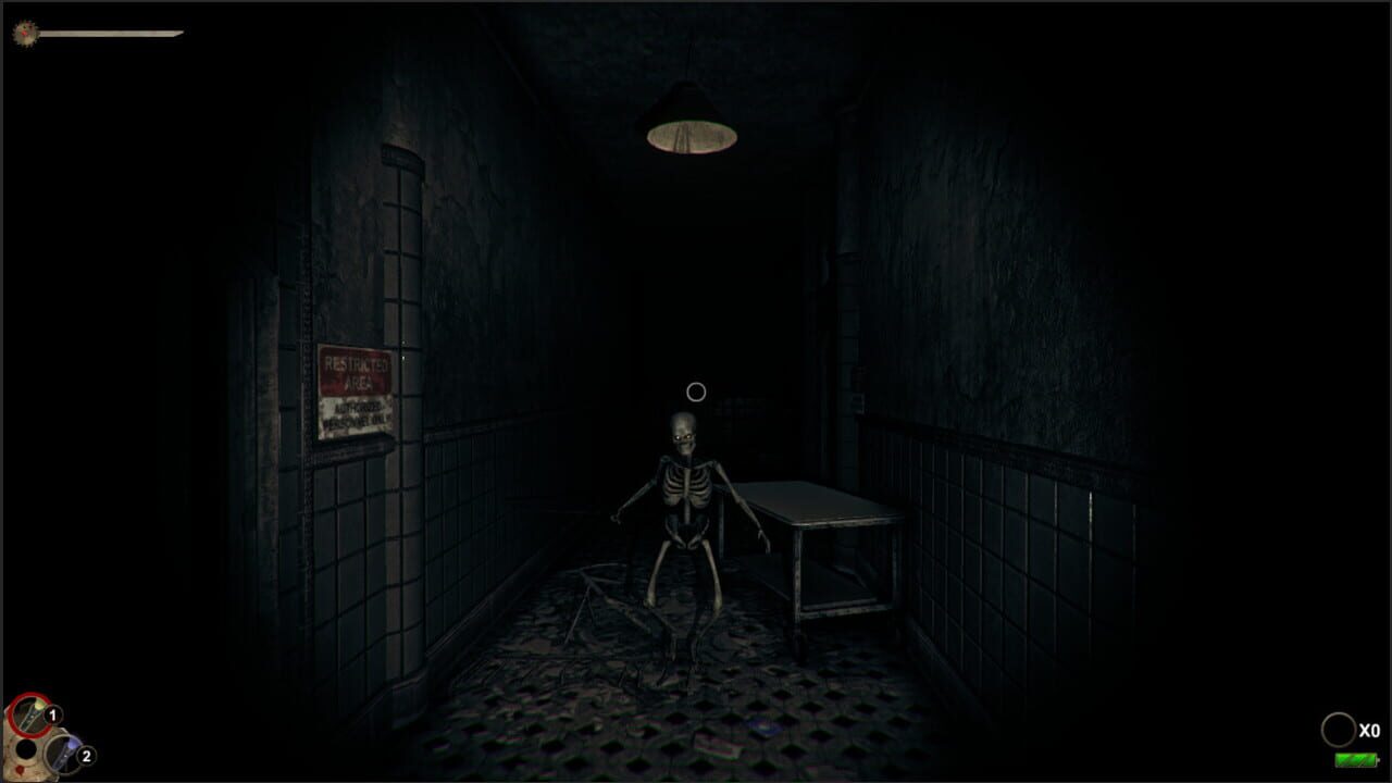 Horror in the Asylum