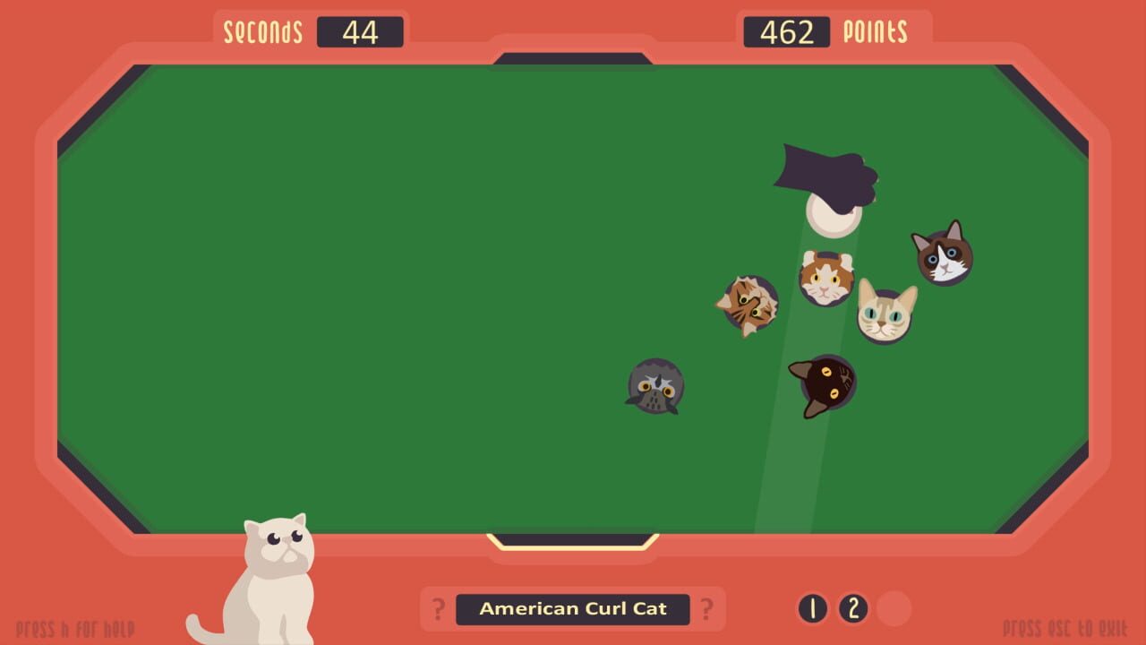 The Cat Games