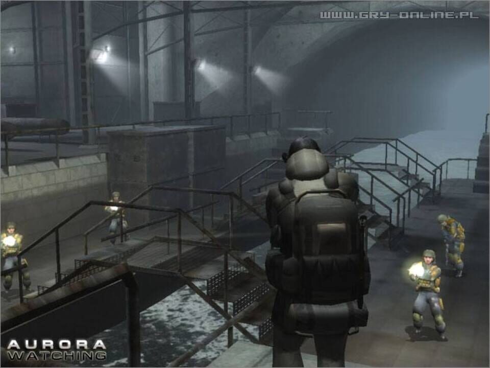 Soldier Elite: Aurora Watching