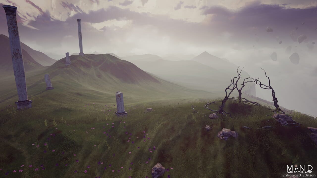 Mind: Path to Thalamus