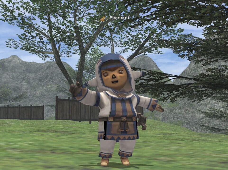 Final Fantasy XI Online
