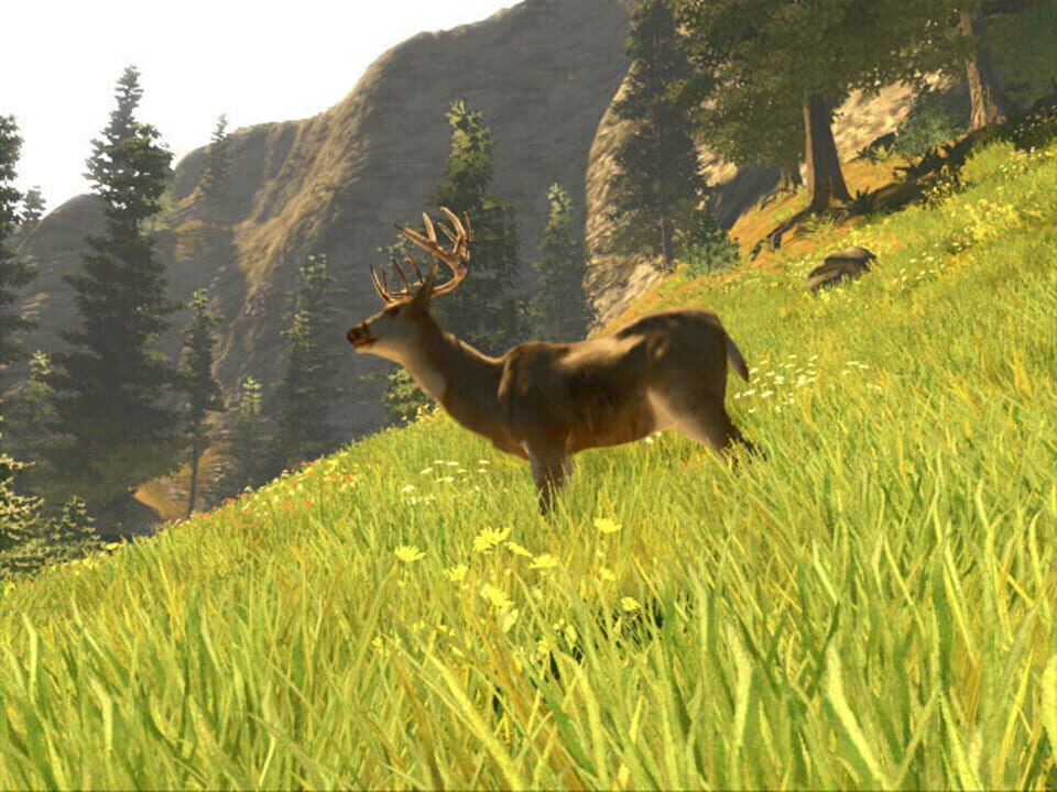 Cabela’s Trophy Bucks