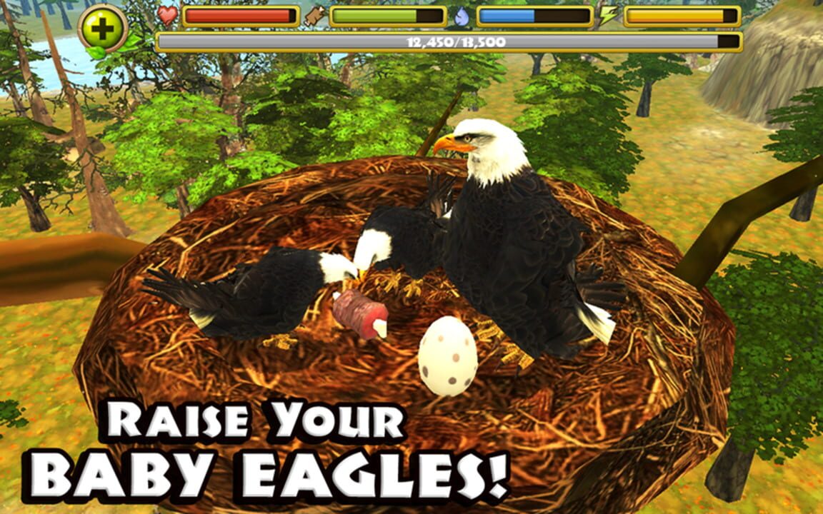Eagle Simulator