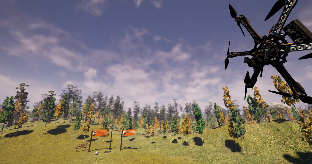 Copter and Sky