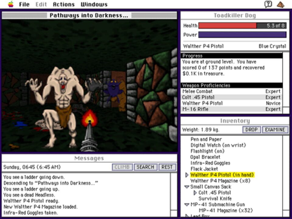 Pathways into Darkness