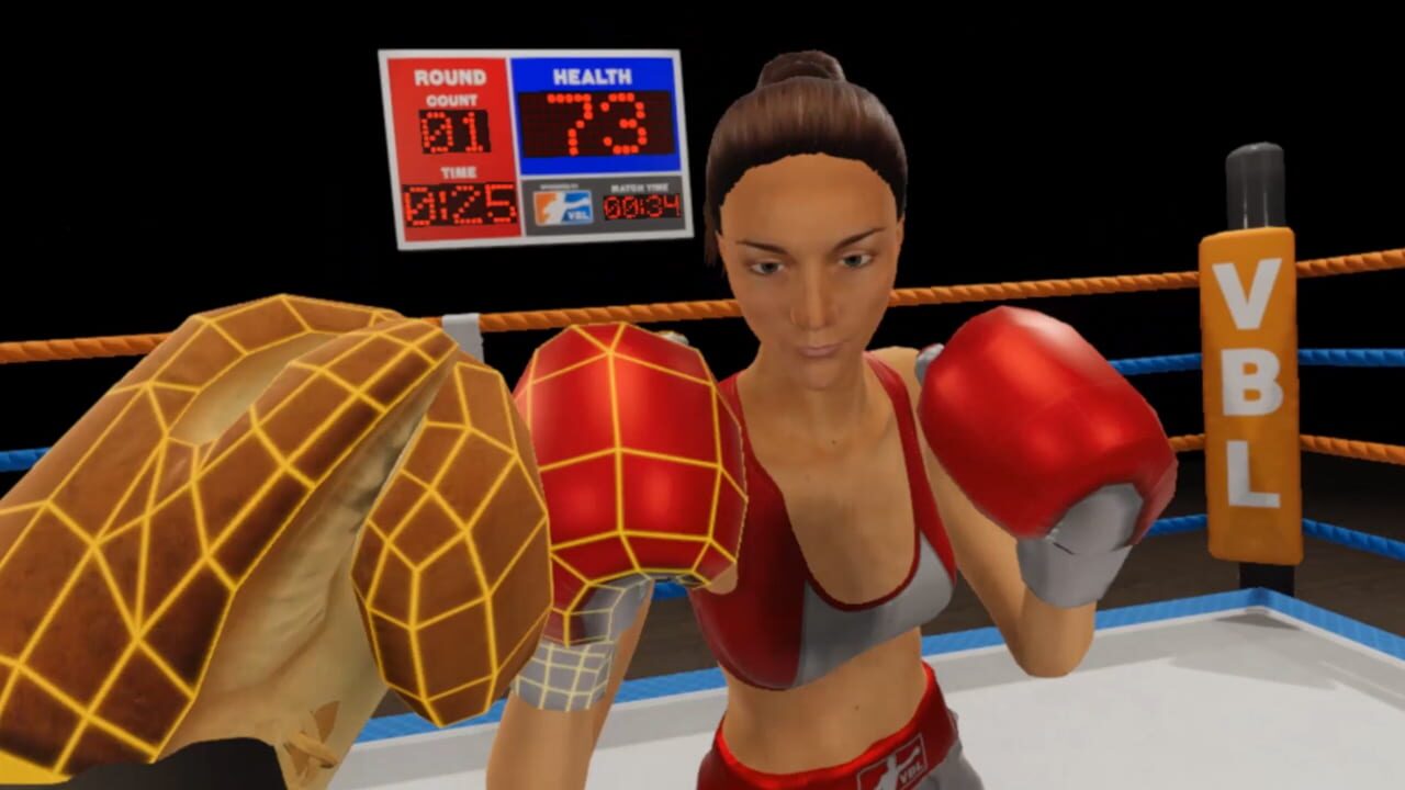 Virtual Boxing League