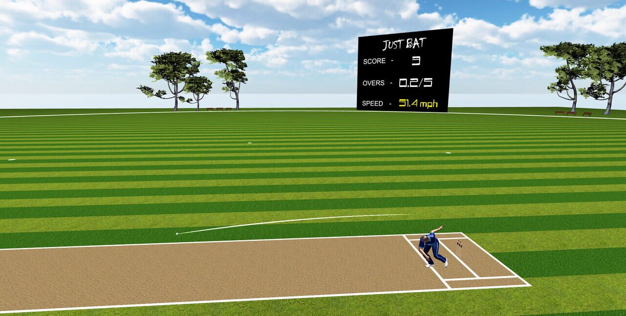 Just Bat: VR Cricket