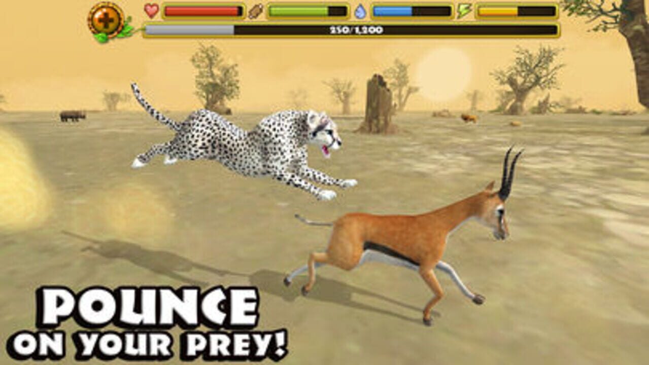 Cheetah Simulator