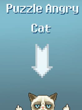Puzzle Angry Cat