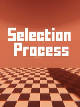 Selection Process