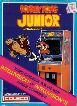 Donkey Kong Junior