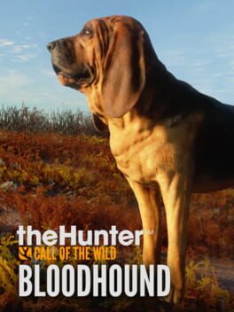 TheHunter: Call of the Wild – Bloodhound