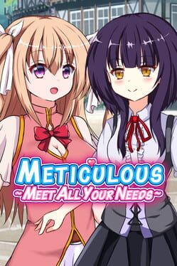 Meticulous: Meet All Your Needs